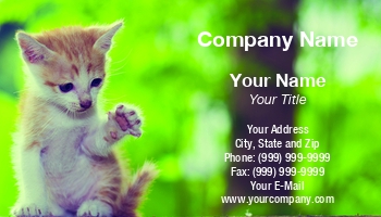 Featured Designs | Hospitality |--| Adorable | Animal Registration | Animal Trainer | At336089 | Bobbin | Card | Cats | Companion | Curiosity | Curious | Feline | Guard | Healthy | Ideal | Image | Kitten | Kittens | Mammal | Pet | Pet Photography | Petcare | Photography | Prakasit Khuansuwan | Sitter | Supplier