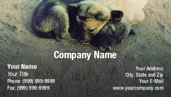 Featured Designs |--| Adorable | Animal Registration | Animal Trainer | At336090 | Bobbin | Companion | Curiosity | Curious | Dogs | Feline | Guard | Healthy | Image | Mammal | Pet | Petcare | Prakasit Khuansuwan | Puppies | Sitter | Stray | Supplier
