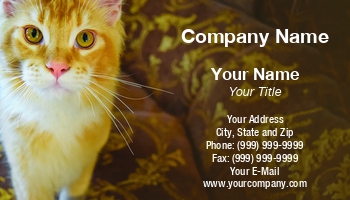 Featured Designs | Hospitality |--| Adorable | Animal Registration | Animal Trainer | At336890 | Bobbin | Card | Cat | Cats | Companion | Curiosity | Curious | Feline | Great | Guard | Healthy | Image | Kittens | Leonid Eremeychuk | Mammal | Pet | Petcare | Pets | Photography | Sitter | Supplier