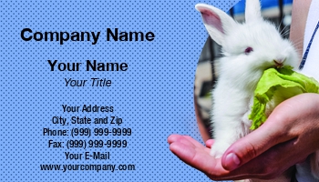 Featured Designs |--| Animal Dealer | Animal Trainer | At337020 | Image | Leaf | Leonid Eremeychuk | Lettuce | Pet | Pet Boarding | Pet Care | Pet Portrait | Pet Supplies | Pets | Rabbit