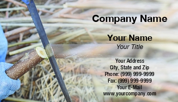 Featured Designs | Fire Wood | Trades |--| At337066 | Card | Contractor | Depot | Firewood | Great | Leonid Eremeychuk | Lumber | Merchant | Merchants | Plywood | Sawmill | Timber | Wood Chipping | Wood Worker
