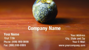 Featured Designs | Medical | Professional |--| Abdominal | At337076 | Bladder | Cholecystectomy | Cholelithiasis | Cholesterol | Digestive System | Duct | Gall | Gall Stone | Gallstones | Hospital | Image | Laparoscope | Leonid Eremeychuk | Stone | Suitable | Surgeries | Treatment