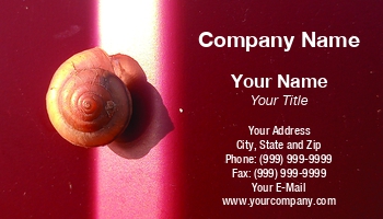 Featured Designs | Garden | Pest Control | Trades |--| At337090 | Garden Snail | Image | Leonid Eremeychuk | Pest | Slime | Snail