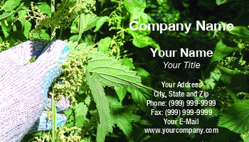 Featured Designs |--| At337091 | Flowers | Harvesting | Image | Leonid Eremeychuk | Medical Products | Medicinal | Nettle | Stalk | Stem