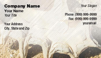 Aquatic | Beach | Featured Designs | Nature |--| At337338 | Dmitryi Bogdanov | Ecology | Image | Lying | Marine | Sea | Sea Shell | Seashell | Shell