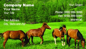 Featured Designs |--| Animal | Animal Dealer | At337409 | Course | Dmitryi Bogdanov | Equestrian | Horse | Horse Ride | Horse Rider | Perfect | Race | Racing | Ride | Rider | Sport | Template | Trainer | Training | Training School