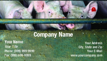 Featured Designs |--| Animal | Animal Dealer | At337914 | Card | Farming | Farms | Fritz Hiersche | Great | Hog Farming | Livestock | Mammal | Meat | Pet | Pig | Pig Farm | Pig Farming | Piglet | Swine