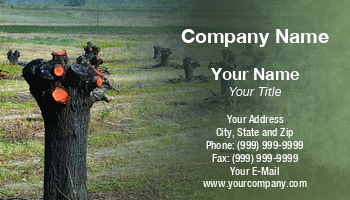 Countryside | Featured Designs | Nature | Trades | Tree Trimmer |--| Agriculture | At337917 | Fritz Hiersche | Image | Landscape | Olive | Olive Tree | Trees | Trimmed