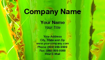 Featured Designs |--| At338313 | Bark | Botanical | Details | Flora | Maxal Tamor | Palm | Palm Tree | Tree | Tropical