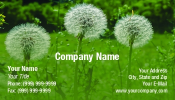 Featured Designs | Floral | Garden | Nature | Trades |--| At338354 | Flora | Flower | Flowers | Gardening | Grass | Green | Maxal Tamor | Template