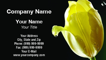 Featured Designs |--| At338360 | Blossom | Bouquet | Decorative | Element | Flora And Fauna | Florist | Flower | Frame | Gardener | Gift | Holiday | Image | Maxal Tamor | Natural | Seasonal | Tulip | Yellow
