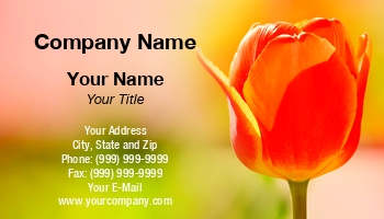 Featured Designs |--| At338361 | Blossom | Bouquet | Decorative | Element | Flora And Fauna | Florist | Flower | Frame | Gardener | Gift | Growers | Holiday | Maxal Tamor | Natural | Plant | Seasonal | Template | Tulip