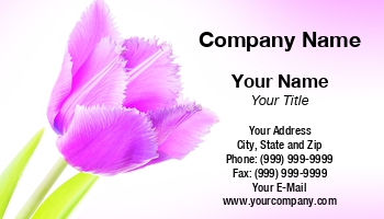 Featured Designs |--| At338362 | Beautiful | Bloom | Blossom | Bouquet | Decorative | Element | Flora And Fauna | Florist | Flower | Frame | Gardener | Gift | Holiday | Maxal Tamor | Natural | Plant | Seasonal | Tulip | Tulips