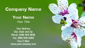 Featured Designs | Floral | Nature |--| At338377 | Blooming | Blossom | Botanical | Cherry | Flower | Flowers | Image | Maxal Tamor | Seasonal | Spring | Tree