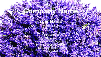 Featured Designs |--| Agriculture | At338447 | Botanical | Bouquet | Bunch | Decoration | Designer | Distributor | Fit | Florist | Flower | Flower Bouquet | Flower Bunch | Roman Milert | Rose | Shops | Wedding Bouquet