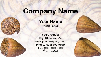 Aquatic | Featured Designs | Nature |--| Animal | At338623 | Decorators | Fit | Marine | Seashell | Shell | Shellfish | Suphatthra China