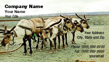 Featured Designs | Nature |--| Animal Breeder | At338715 | Farming | Herd | Image | Leonid Eremeychuk | North | Reindeer