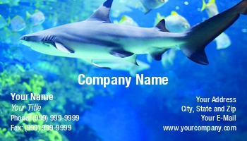 Aquatic | Featured Designs |--| Aleksandr Ugorenkov | Aquarium | Aquariums | At339232 | Coral | Image | Marine | Reef | Shark | Underwater | Water | Wildlife
