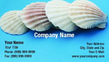 Featured Designs |--| Aleksandr Ugorenkov | Aquarium | At339331 | Decoration | Image | Marine | Marine Biology | Sea | Seashell | Seashore | Shells