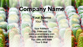 Featured Designs |--| At339442 | Cactus | Gardening | Horticulture | Nursery | Plant | Plant Nursery | Plants | Pots | Shi Yali | Template