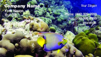 Aquatic | Featured Designs |--| Aquarium | At339771 | Card | Coral | Dave Willman | Diving | Great | Queen Angel | Reef | Scuba | Tropical | Underwater