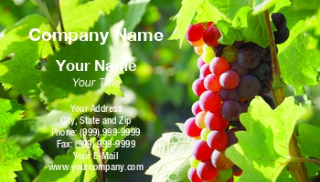 Featured Designs | Food | Hospitality |--| At339829 | Farming | Grapevine | Ivan Paunovic | Template | Vineyard | Winery