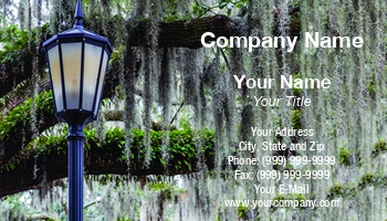 Featured Designs |--| At339861 | Darryl Brooks | Lamps | Landscape | Light | Lights | Streetlamps | Streetlights | Tree | Trees