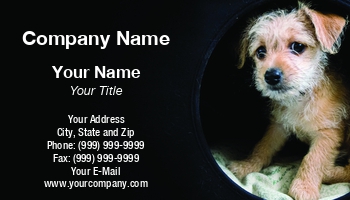 Featured Designs |--| At341135 | Canine | Card | Dealing | Dog | Great | Laurent Renault | Pet Boarding | Pet Care | Pet Grooming Services | Pet Hotel | Pet Shop | Pets | Puppy