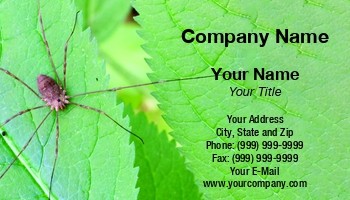 Featured Designs | Pest Control | Trades |--| At342387 | Dave Willman | Green | Image | Insect | Leaf | Spider