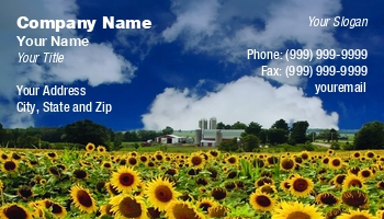 Farm | Featured Designs | Garden | Trades |--| Agriculture | At342677 | Blossoms | Crops | Dave Willman | Field | Harvest | Heads | Image | Petals | Seeds | Sunflower | Sunflowers