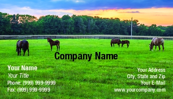 Countryside | Farm | Featured Designs | Nature |--| Andrew F. Kazmierski | At342707 | Farms | Feeding | Field | Grass | Grazing | Horse | Horses | Landscape | Pasture | Template