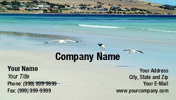 Beach | Featured Designs | Nature |--| At343108 | Bird | Card | Fritz Hiersche | Great | Island | Pacific Gull | Sea | Sea Gull | Vacations