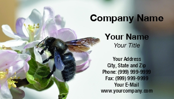 Featured Designs | Nature |--| At343317 | Carpenter Bee | Ecologist | Ecologists | Fritz Hiersche | Insect | Perfect | Pollination | Template | Zoologist | Zoology