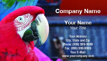 Featured Designs |--| At340469 | Avian | Aviary | Bird | Bird Conservation | Bird Watcher | Bird Watching | Birdwatching | Chrysolophus | Macaw | Pet Birds | Pet Shop | Sanctuary | Scarlet | Shi Yali