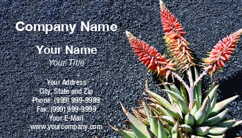Featured Designs |--| Aloe | At344066 | Botany | Card | Flowering | Fritz Hiersche | Nursery | Plant | Plant Nursery | Suitable