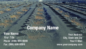 Featured Designs |--| Agriculture | At344068 | Fritz Hiersche | Land | Landscape | Ploughed | Sand | Vine Cultivation | Vineyard