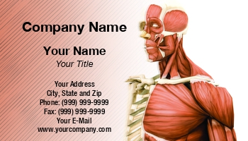 Featured Designs | Health | Medical | People | Professional |--| Anatomical | Anatomy | Andrea Crisante | At344214 | Body | Human | Human Body | Model | Muscle | Skeleton