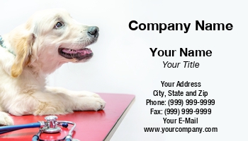 Animals | Featured Designs | Medical | Professional | Veterinarian |--| Animal Treatment | At344262 | Clinic | Eduard Goricev | Pet | Pet Care | Pet Clinic | Suitable | Template | Vet | Veterinary