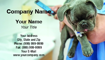 Animals | Featured Designs | Medical | Professional | Veterinarian |--| At344279 | Doctor | Dog | Eduard Goricev | Perfect | Pet Clinic | Template | Vet | Veterinary