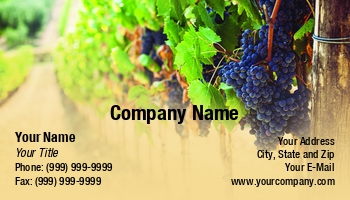 Featured Designs | Hospitality | Wine |--| A Countryside | Antonio Gravante | At340588 | Beverage | Fresh Grapes | Grapevine | Great | Template | Vineyard | Vineyards | Winery