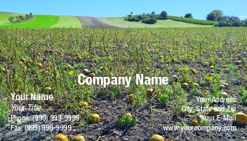 Featured Designs |--| Agricultural Countryside | Agricultural Product | Agriculture | At345304 | Fritz Hiersche | Image | Patch | Pumpkin | Pumpkin Field | Ripe Pumpkin