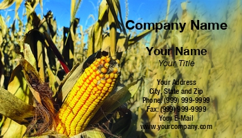 Countryside | Featured Designs | Food | Hospitality | Nature |--| Agriculture | At345988 | Botany | Corn | Corn On The Cob | Field | Fritz Hiersche | Harvest | Maize | Perfect | Plant | Ripe Corn | Season | Template