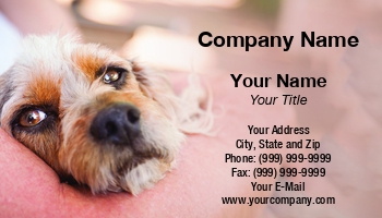 Featured Designs |--| Andy Dean | Animal | At340711 | Pet | Pet Boarding | Pet Care | Pet Hotel | Pet Photography | Pet-psychologist | Pets | Related