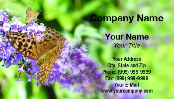 Featured Designs |--| At347350 | Butterfly | Card | Fritz Hiersche | Insect | Suitable | Zoologist | Zoology