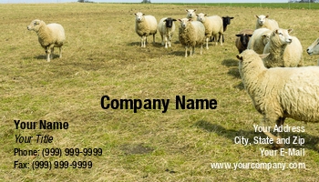 Featured Designs |--| Achim Prill | Animal | At347746 | Domestic Sheep | Farmland | Feed | Flock | Flock Of Sheep | Grazing | Great | Husbandry | Livestock | Meadow | Sheep | Sheep Farming | Sheep Husbandry | Template