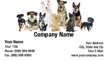 Animals | Domestic | Featured Designs |--| At349452 | Card | Crossbreed | Dog | Dogs | Domestic Animal | Erik Lam | Group Of Dogs | Group Of Pets | Homes | Mixed Breed | Pets
