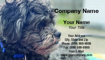 Featured Designs |--| At359023 | Business | Card | Care | Dog | Dog Bathing | Dog Boarding | Dog Care | Dog Daycare | Dog Groomer | Dog Kennel | Jenn | Template | Wonderful