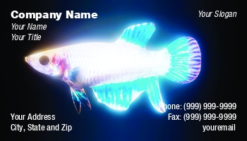 Aquatic | Featured Designs |--| Andrea Crisante | Aquarium | Aquarium Maintenance | Aquariums | At369095 | Business | Card | Excellent | Fish | Template | Underwater