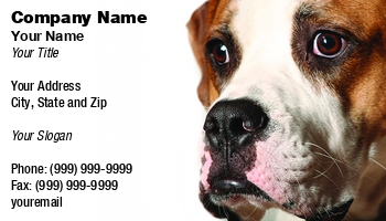 Animals | Featured Designs | Grooming |--| American | Animal Breeder | Animal Care | At41141 | Boxer | Breeders | Bulldog | Dog | Face | Groomers | Jay Schulz | Perfect | Pet-psychologist | Veterinarians | Walkers