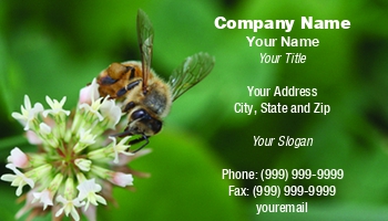 Featured Designs |--| Apiary | Apiculture | At41186 | Denise Beverly | Insect